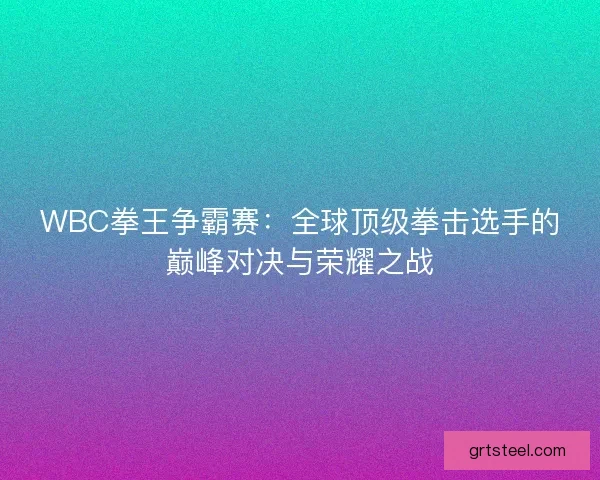 WBC拳王争霸赛：全球顶级拳击选手的巅峰对决与荣耀之战