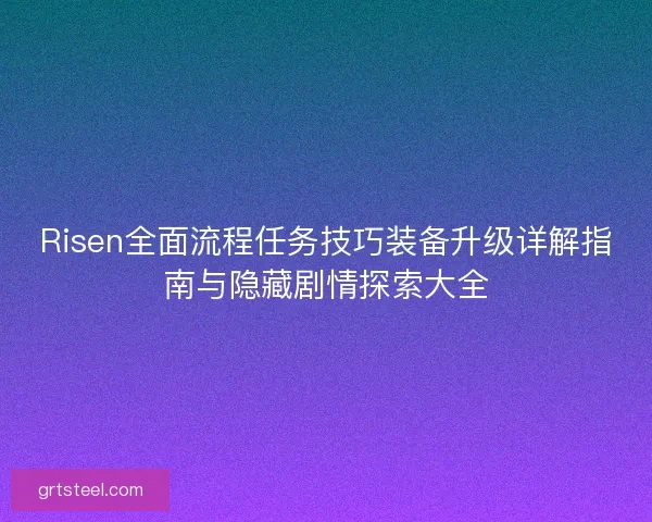 Risen全面流程任务技巧装备升级详解指南与隐藏剧情探索大全